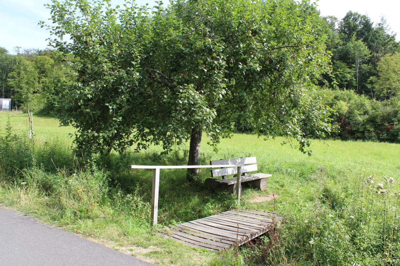 Ferienwohnung Forellenhof Oberschwarzach Екстериор снимка